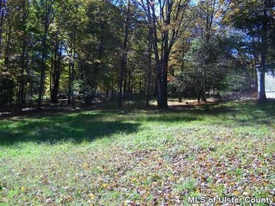 346 Whitfield Rd, Accord, NY 12404 - photo 5