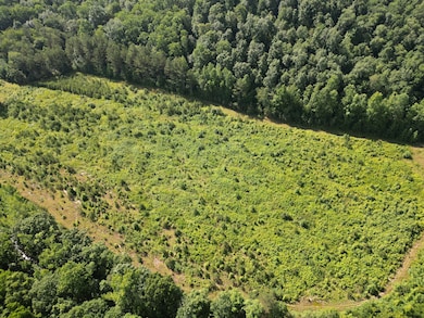 0 Brushy Rd unit RTC2923157, Centerville, TN 37033 - photo 5