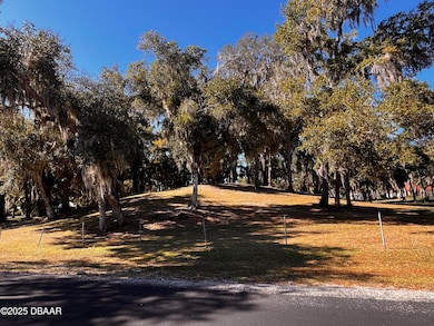 Lot 91 Lindsay Ln, Crescent City, FL 32112 - photo 6