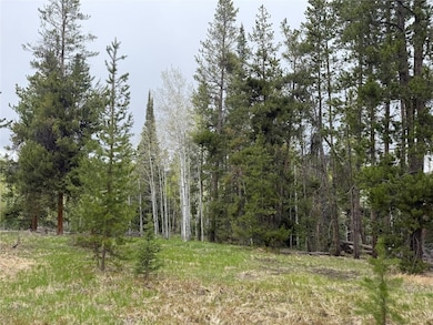 33435 Filly Trail, Oak Creek, CO 80467 - photo 3