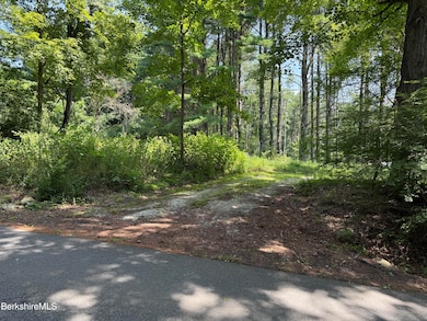 14 McGee Rd, Egremont, MA 01230 - photo 2