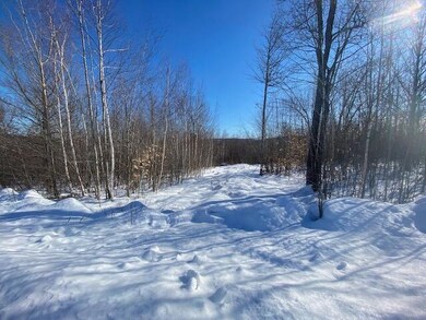 Lot 17 Ridgeview Rd, Harrison, ME 04040 - photo 4