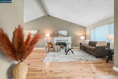 7 Atchinson Stage Rd, Clayton, CA 94517 - photo 5