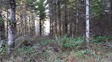 101 State Route 105, Raymond, WA 98577 - photo 4