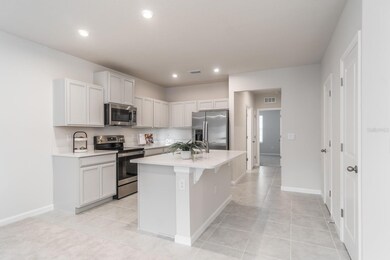 17897 Turning Leaf Cir, Land O Lakes, FL 34638 - photo 6