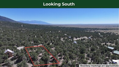 1915 Lone Pine Way, Crestone, CO 81131 - photo 3