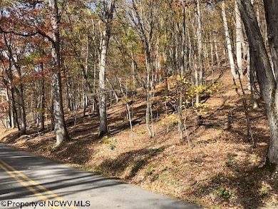 TBD Holly Meadows Rd, Parsons, WV 26287 - photo 3
