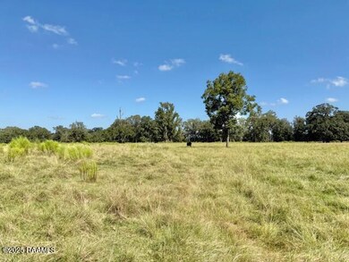 Tbd Judice Rd, Sunset, LA 70584 - photo 2