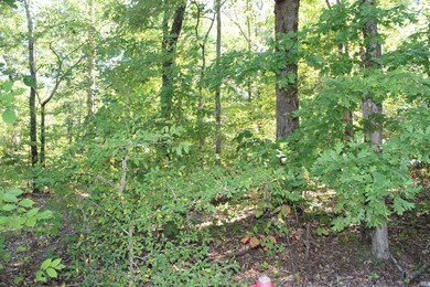 1 Hurricane Church Rd, Stewart, TN 37175 - photo 6