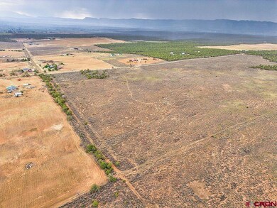 TBD 1 N 20 Rd, Cortez, CO 81321 - photo 6