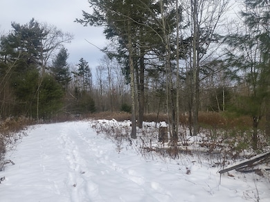 90 Williamsburg Rd, Worthington, MA 01098 - photo 7