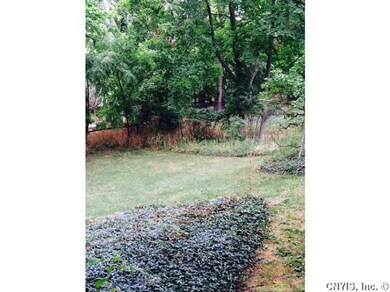 Yard.