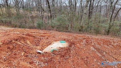 10356 County Road 17, Woodville, AL 35776 - photo 6