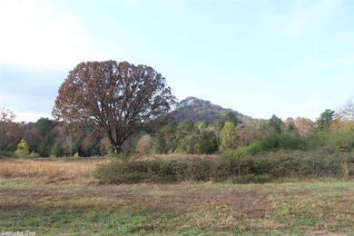 0 Hwy 110 E unit 17033878, Heber Springs, AR 72543 - photo 3