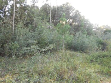 Clearing 3