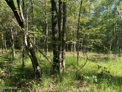 0 Russellville Rd unit M167250, Forsyth, GA 31029 - photo 2