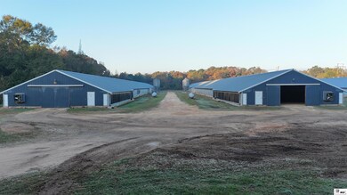 1034 Mccrary Rd, Downsville, LA 71234 - photo 6