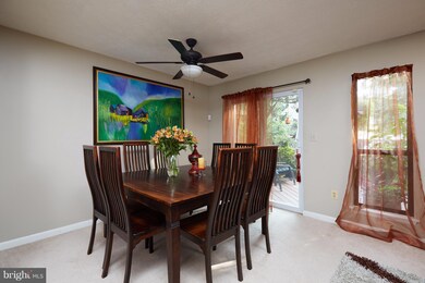 6404 Loring Dr, Columbia, MD 21045 - photo 6