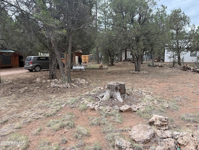 2181 Hashknife Dr unit 41, Overgaard, AZ 85933 - photo 3