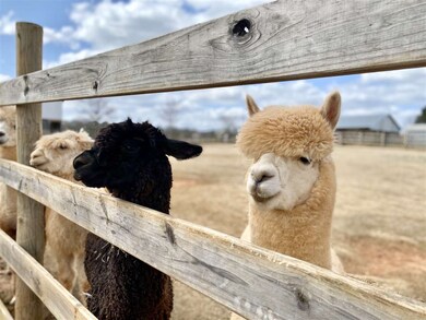 7084 U S Highway 64 W, Pittsboro, NC 27312 - photo 4