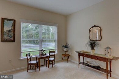 296 Musser Rd, Mount Joy, PA 17552 - photo 6