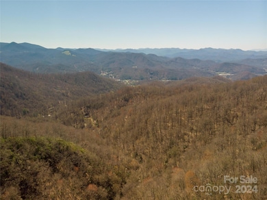 00 Buff Creek Rd, Sylva, NC 28779 - photo 3