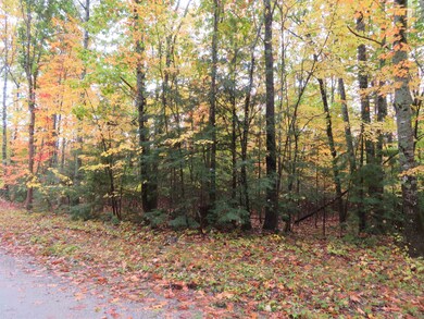 00 Savoy, Moultonborough, NH 03254 - photo 4