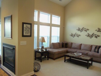 See Thru Fireplace to Greatroom