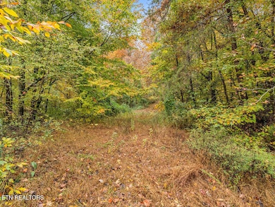 0 Mountie Ln, Knoxville, TN 37924 - photo 2