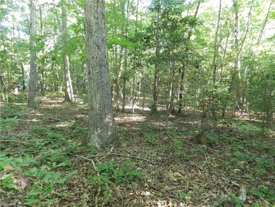 0 Bethel Lucas Rd, Asheboro, NC 27205 - photo 4