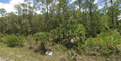 1917 Holyoke Ave, Lehigh Acres, FL 33972 - photo 3