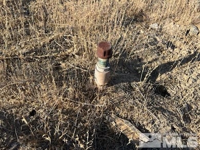 12629 Van Fleet Rd, Fallon, NV 89406 - photo 7