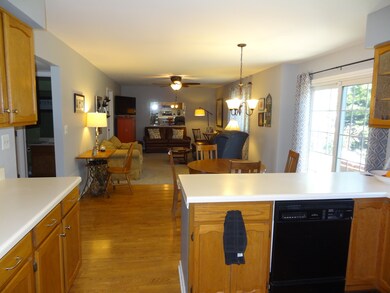 Open Expanse at the back of the house