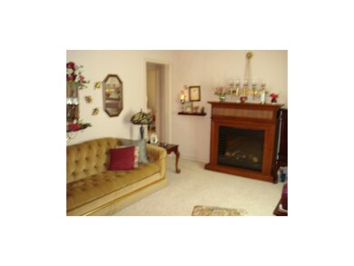 Living room (newer carpet)