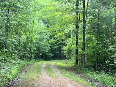 Lots 19 & 20 E Pinecrest Dr unit 24, Secord Township, MI 48624 - photo 3