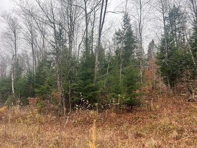 Lot 1 & 2 Thistle St, Upton, ME 04261 - photo 3