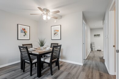 10023 Holly Ln unit 2N, Des Plaines, IL 60016 - photo 6