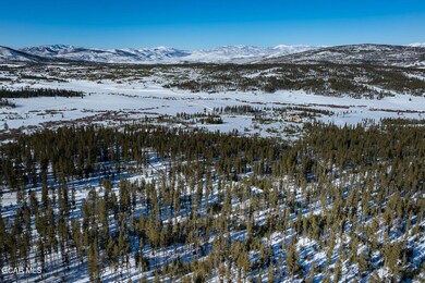 1925 Wildberry Ln, Tabernash, CO 80478 - photo 6