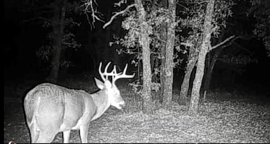 03 Indian Camp Rd, Weatherford, TX 76087 - photo 5