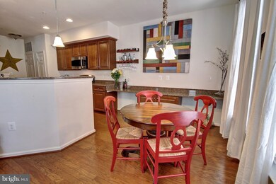 42177 Canary Grass Square, Stone Ridge, VA 20105 - photo 7