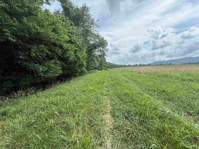 20 Allure Ln, Mountain View, AR 72560 - photo 7