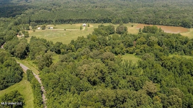 1968 Bend Rd, Coldwater, MS 38618 - photo 4