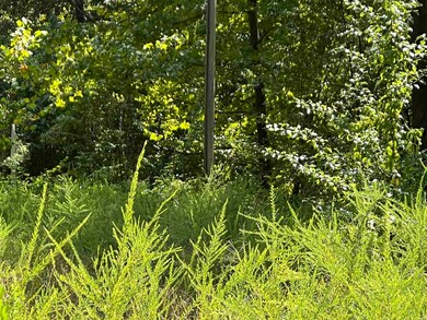 528 Black Oak Rd, Mammoth Spring, AR 72554 - photo 3