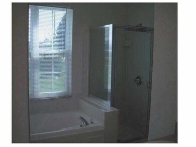 master bath soaking tub and shower