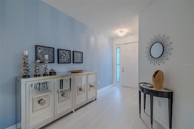 16130 Amethyst Key Dr, Wimauma, FL 33598 - photo 7