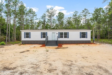 3966 Shell Landing Rd, Vernon, FL 32462 - photo 5