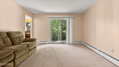 260 Pittsfield Rd unit 16C, Lenox, MA 01240 - photo 7