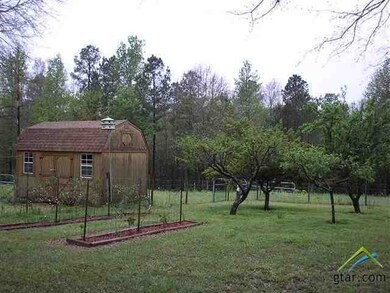 10006 County Road 21, Tyler, TX 75707 - photo 7