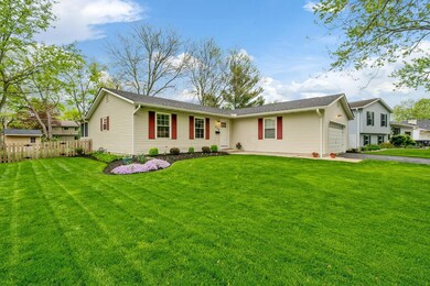56-web-or-mls-DSC03691
