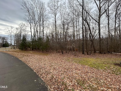 0 Weaver Ridge Rd unit 10137151, Rougemont, NC 27572 - photo 3